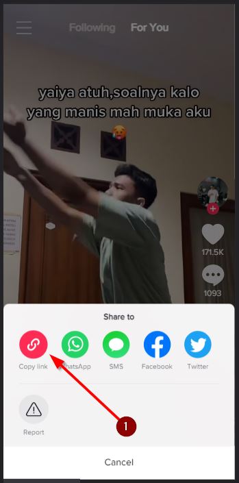 cara download video dan sound tiktok