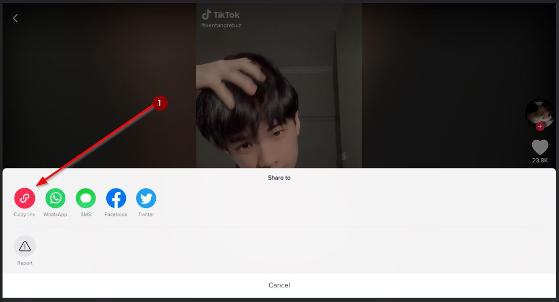 cara download video dan sound tiktok