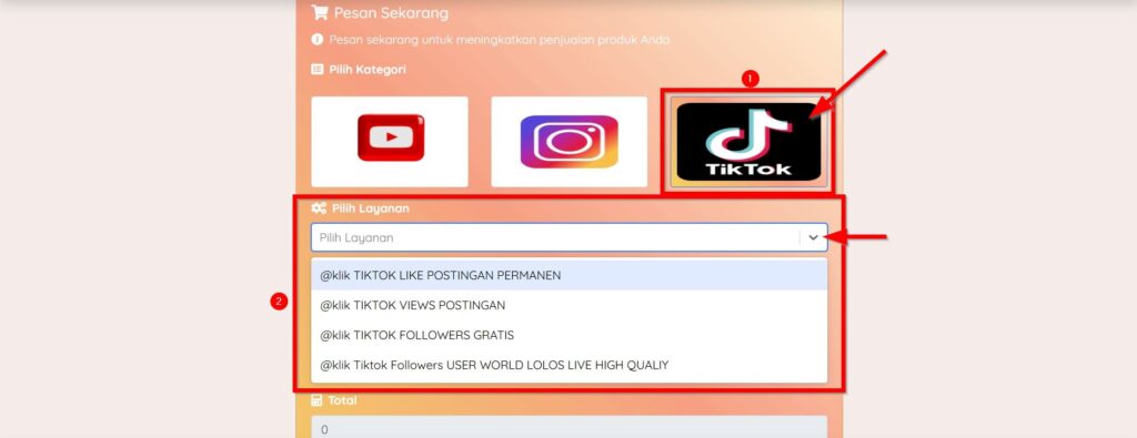 Pilih Layanan Tiktok